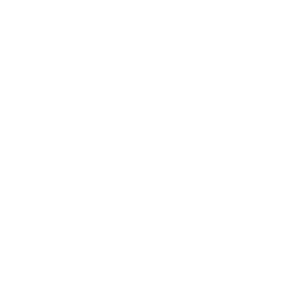Oak AI